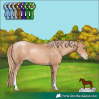 Horse Color:Chestnut Pearl 