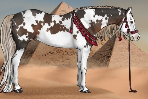 Horse Color:White Spotted Liver Chestnut Splash 