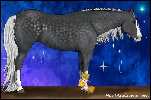 Horse Color:Silver Black Chinchilla Splash