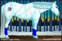 Horse Color:Thunderstruck Black Ice Appaloosa 