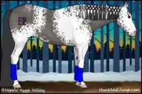 Horse Color:White Spotted Grullo
