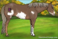 Horse Color:Chestnut Frame 