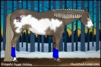 Horse Color:Liver Chestnut Frame 