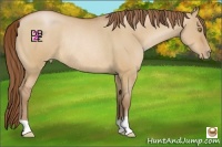 Horse Color:Bay Pearl Dun Rabicano 