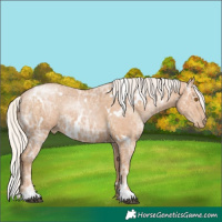 Horse Color:White Spotted Silver Black Ice Pearl 