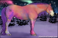 Horse Color:Watercolor Bay Sabino 