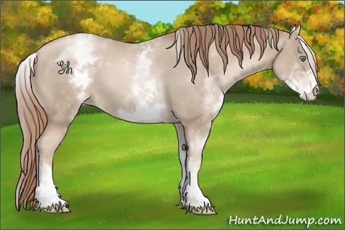 Horse Color:White Spotted Smoky Black Pearl