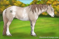 Horse Color:White Spotted Smoky Black Pearl 