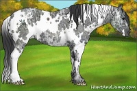 Horse Color:White Spotted Black Ice 