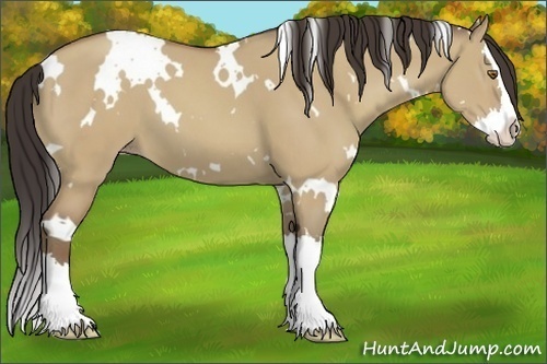Horse Color:White Spotted Classic Champagne Dun Splash 