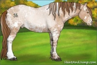 Horse Color:White Spotted Bay Ice Pearl 