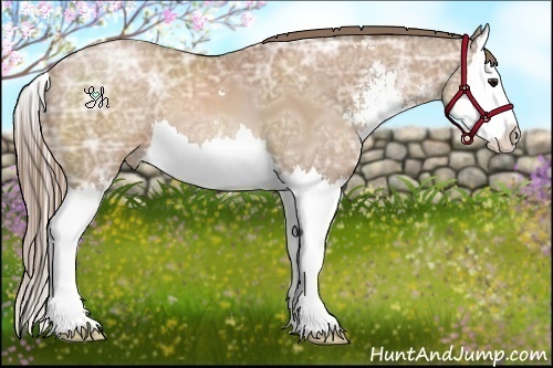 Horse Color:Black Ice Pearl Sabino Splash