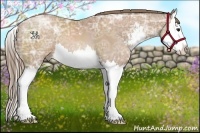 Horse Color:Black Ice Pearl Sabino Splash