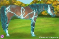 Horse Color:Thunderstruck Buckskin