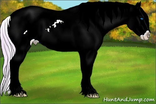 Horse Color:Watercolor Chocolate Palomino Splash Appaloosa 