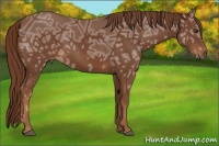 Horse Color:Chestnut Ice Frame