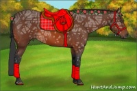 Horse Color:Bay Ice 