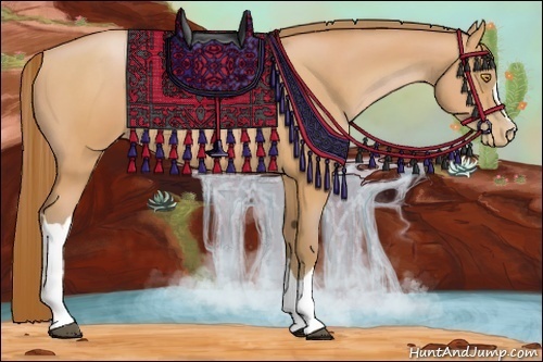 Horse Color:Bay Pearl 