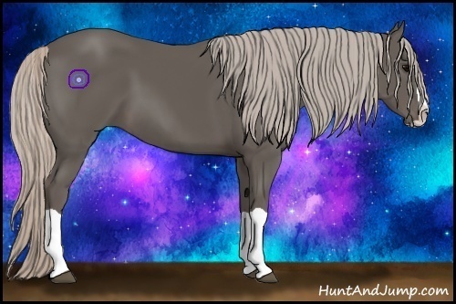 Horse Color:Silver Black Splash 
