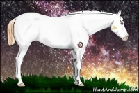Horse Color:Buckskin Varnish 
