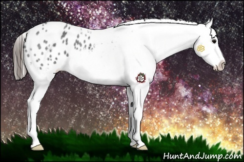 Horse Color:Blue Roan Sabino Splash Blanket