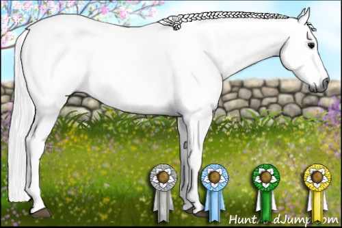 Horse Color:Gray Black 