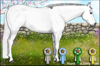Horse Color:Gray Black 