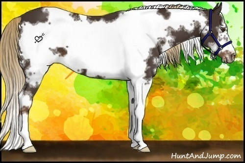 Horse Color:White Spotted Liver Chestnut Sabino Frame