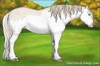 Horse Color:Perlino Roan Splash 