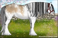 Horse Color:White Spotted Buckskin Roan Dun Splash Rabicano