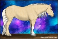 Horse Color:Palomino  Brindle