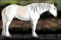 Horse Color:White Spotted Smoky Creme Tobiano 