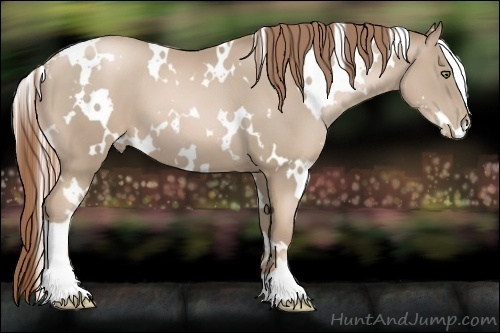 Horse Color:White Spotted Smoky Black Pearl
