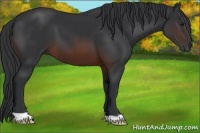Horse Color:Brown 