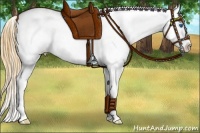 Horse Color:Buckskin Splash Snowcap