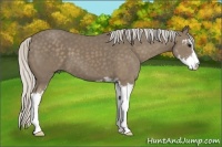 Horse Color:Silver Smoky Black Sabino 