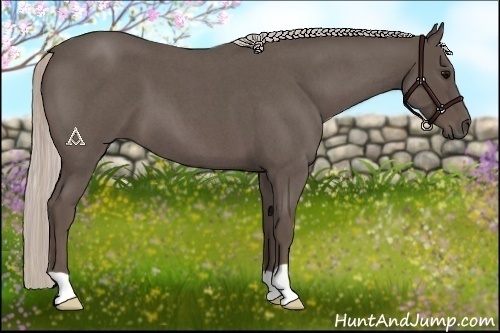 Horse Color:Silver Blue Roan