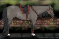 Horse Color:Grullo Rabicano 