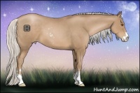 Horse Color:Silver Black Pearl Sabino