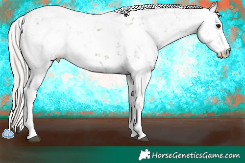 Horse Color:Silver Grullo Sabino 