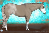 Horse Color:Silver Grullo Sabino 