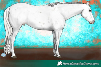 Horse Color:Silver Grullo Sabino
