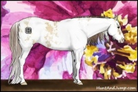 Horse Color:Grullo Pearl Sabino