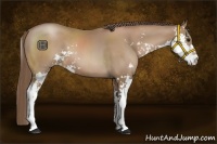 Horse Color:Black Pearl Sabino 