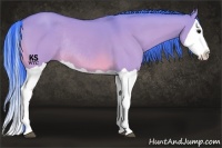 Horse Color:Watercolor Bay Dun Splash Rabicano 