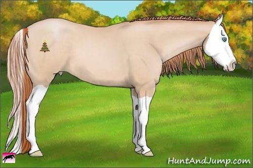 Horse Color:Buckskin Pearl Splash 