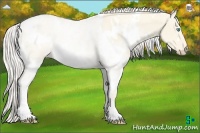 Horse Color:White Spotted Cremello Dun