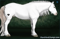 Horse Color:Chestnut Sabino Varnish