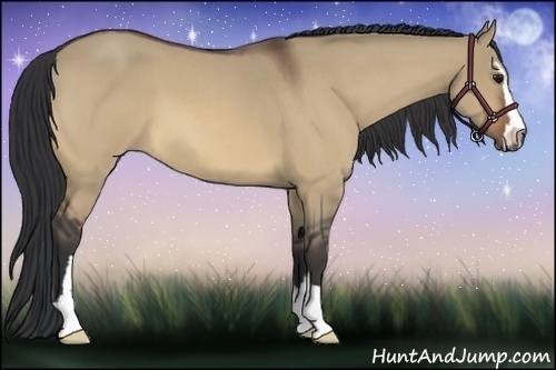 Horse Color:Bay Roan Dun Sabino