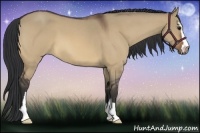 Horse Color:Bay Roan Dun Sabino 